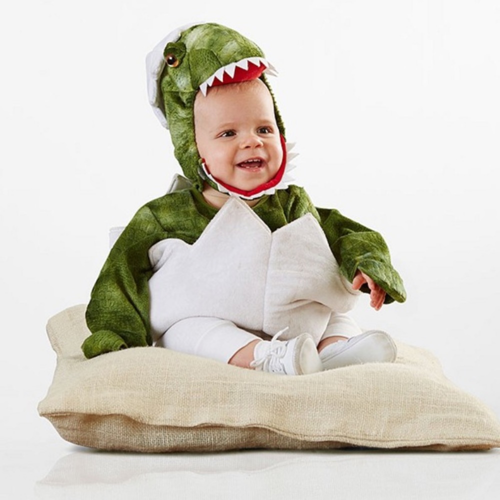 Pottery Barn Kids Baby Green Dinosaur Egg Halloween Costume